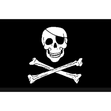 Pirate 3 x 5