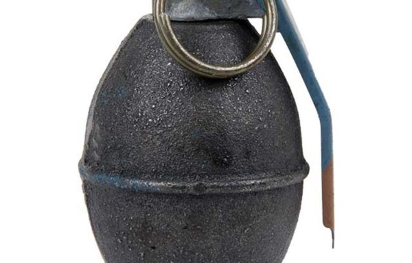 Dummy Lemon Grenade