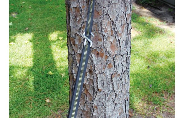 Web Hammock Tree Straps
